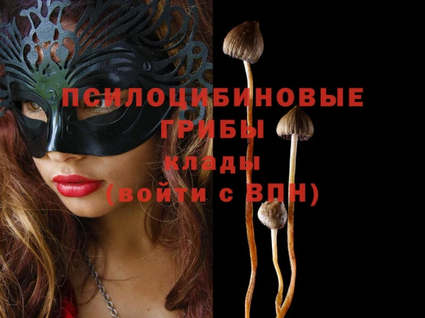 mdma Медвежьегорск
