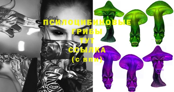 прущая мука Мегион