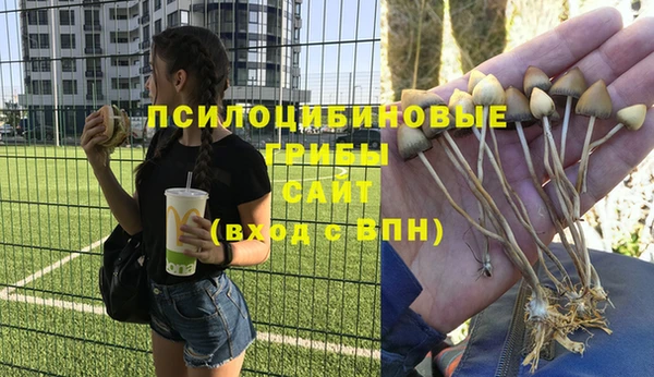 прущая мука Мегион