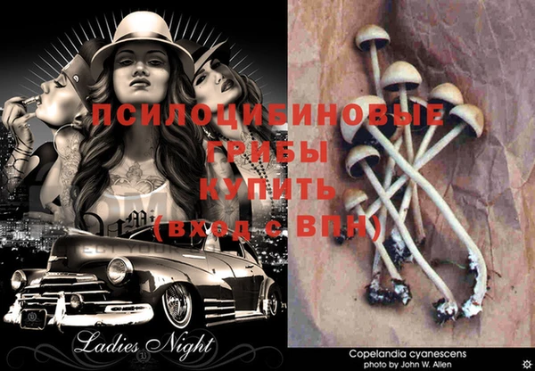 синтетический гашиш Абдулино